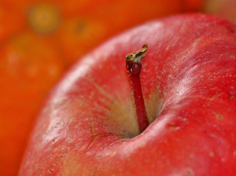 Variety of Fruits and Vegetables